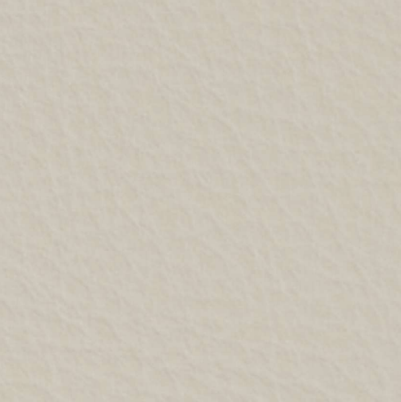 FROST(NN-521E)
